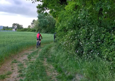 Ciclocolli_Storica_2017_SABATO_29